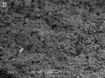 AZoJoMo – AZoM Journal of Materials Online : SEM micrograph of porous Si3N4 ceramics in which the pores were formed by Starch. The content of the pore-forming agent was 60 vol%.