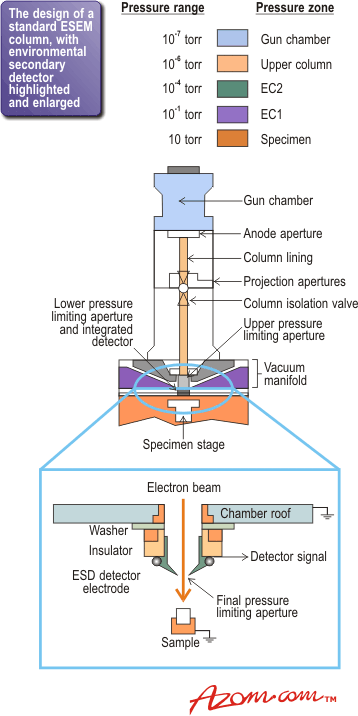 AZoM - Metals, Ceramics, Polymer and Composites : Environmental Scanning Electron Microscopy - The design of a standard ESEM with environmental seconday detector.