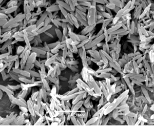 AZoJoMo – AZoM Journal of Materials Online : SEM photograph of the rod-like β-Si3N4 seeds.