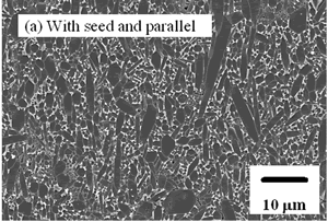 AZoJoMo – AZoM Journal of Materials Online : SEM micrographs of the tape-cast Si3N4 parallel.