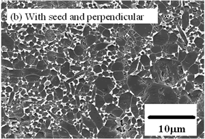 AZoJoMo – AZoM Journal of Materials Online : SEM micrographs of the tape-cast Si3N4 perpendicular.