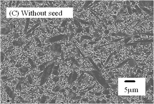 AZoJoMo – AZoM Journal of Materials Online : SEM micrographs of the tape-cast Si3N4 with no-seed.