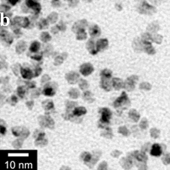 AZojomo - The "AZo Journal of Materials Online" TEM images of the obtained Pt and Pd nanoparticles under microwave-assisted solvothermal conditions