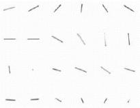 Rod-like particle shown in various orientations in 3-dimensional space. Presented to image analysis software this one particle without control of its orientation produces the size and shape distributions shown in Figure 5.