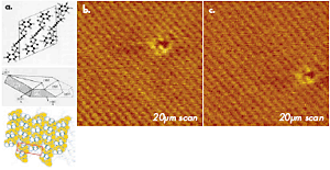 AZoNano - The A to Z of Nanotechnology - (a) A sketch of chemical structure, a crystal shape and crystallographic order at the bc plane for polydiacetylene (PDA) used for high-resolution AFM imaging. (b)-(c) Height images of the bc surface of PDA crystal obtained in tapping mode in air. Carbon spike probe is used in the experiments. The images show an ordered packing of surface groups and one molecular-scale defect. The images were recorded at the same location within a 10 min. interval. The shift of the defect is related to thermal drift of ~0.6nm/min.