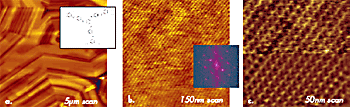 Height images obtained on surface of liquid crystalline material in tapping mode in air. A sketch of chemical structure of disk-shaped star molecules forming this material is shown in the insert in (a). 2D FFT power spectrum of the image in (b) is shown in the insert. A lower half of the image in (c) is shown after filtering. Etched Si probe was used in the experiments.