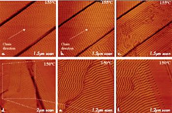 (a) – (c) Height images of ultra long C390H782 layers on graphite at 155°C. (d) – (f) Height images of polyethylene layers on graphite at 150°C.