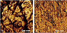Phase images of polyparaxylylene filled with Ag particles (a) and polypropylene filled with clay particles (b).