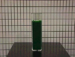 4.5 wt.% organic green pigment