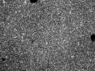 AZoJomo - The AZO Journal of Materials Online - POM photo of the polymer C taken at 320°C in heating process (magnification: ×200)
