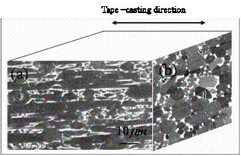 AZoM - The A to Z of Materials Online - Photographs of b-Si3N4 fabricated by tape-casting, hot pressing and subsequent HIP sintering. (a) and (b) SEM images