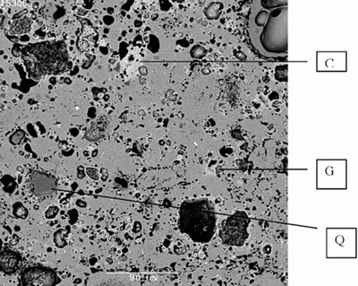 SEM image for the geopolymer heated to 1000°C shows a calcium silicate phase with Ca to Si ratio of 8:5 and another one close to the gehlenite composition.