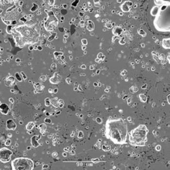 The pore distribution at 1000°C is shown in the secondary SEM image at 1000°