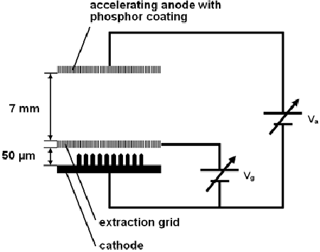 Schematic diagram of the FED device assembled in this study