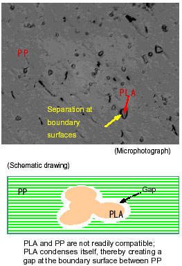 AZoM - Metals, Ceramics, Polymer and Composites : When PLA and PP are mixed using typical methods.