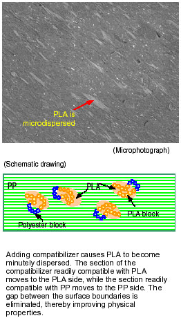 AZoM - Metals, Ceramics, Polymer and Composites : PLA is microdispersed as a result of blending with a compatibilizer.