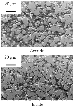 AZoJomo - The AZO Journal of Materials Online - Cross-sectional views of Ni-20Cr (5 µm) bodies sintered by PECS with LD die for 5 min at 700°C of die temperature