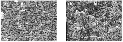 AZoJomo - The AZO Journal of Materials Online - SEM micrographs of NiO obtained from 0.5 M of Ni(NO3)2 and calcined at 750°C for 1 h (a) using NaOH (b) using KOH.