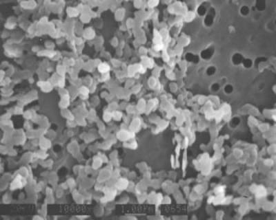 AZoJoMo – AZoM Journal of Materials Online
