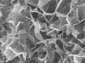 AZoJomo - The AZO Journal of Materials Online - SEM photographs of the specimens added (a) 0, (b) 2, (c) 5 and (d) 20 mass% of Ca(OH)2 after autoclaved at 220°C for 10 h.