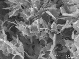 AZoJomo - The AZO Journal of Materials Online - SEM photographs of the specimens added (a) 0, (b) 2, (c) 5 and (d) 20 mass% of Ca(OH)2 after autoclaved at 220°C for 10 h.