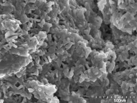 AZoJomo - The AZO Journal of Materials Online - SEM photographs of the specimens added (a) 0, (b) 2, (c) 5 and (d) 20 mass% of Ca(OH)2 after autoclaved at 220°C for 10 h.