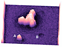 Detailed topography of three defects – two protrusions and a depression – in a phase-shift photolithography mask. A cross section measures the smaller of the two protrusions (A) ~140nm across in the plane of the image. The depression defect (B) measures less than 6nm deep. 1.5μm scan.