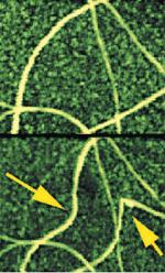 AFM in-plane nanomanipulation uses the AFM probe to image, manipulate nanometer-scale objects (carbon nanotubes), and image again to see the results