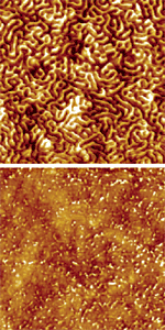 Poly-sbs at room temperature in air (a) and at 180°C in 10-5 Torr pressure (b). Images captured with the Enviroscope