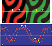 Images of the same area on magnetic recording tape scanned with and without Q-control. Phase detection MFM images and average cross-section measurements of the probe phase shift illustrate nearly 4x enhanced signal-to-noise ratio for the Q-controlled image.