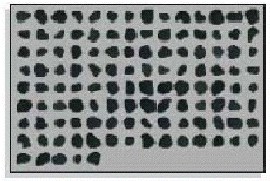Black toner produced by a pulverisation process.