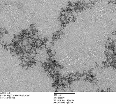 AZojomo - The "AZo Journal of Materials Online" Transmission electron microscopy images of the sample, the scale bar is 100 nm