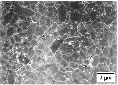 AZoJoMo - AZoM Journal of Materials Online - SEM micrographs of the etched surface of alumina – 5 vol% silicon carbide nanocomposites as function of the sintering temperature at 30 MPa for 1 h in Ar atmosphere 1500oC.