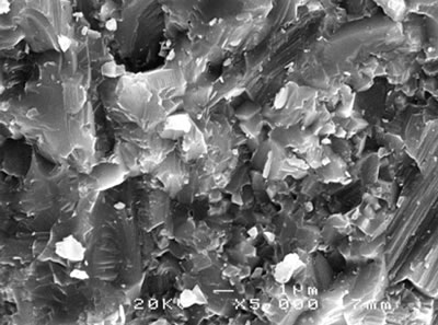 AZoJoMo - AZoM Journal of Materoals Online - SEM micrographs of the fracture surface of alumina - 5 vol% silicon carbide nanocomposites sintered at 1700oC.