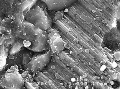 AZoJoMo - AZoM Journal of Materials Online - SEM micrographs of the fracture surface of alumina - 5 vol% silicon carbide nanocomposites sintered at 1800oC.