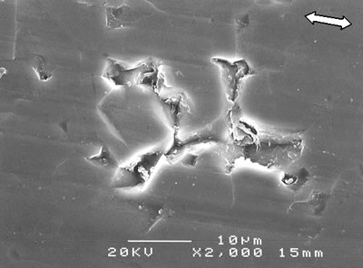 AZoJoMo - AZoM Journal of Materials Online - SEM micrographs of the worn surface of monolithic alumina.