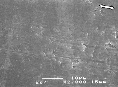 AZoJoMo - AZoM Journal of Materials Online - SEM micrographs of the worn surface of monolithic alumina alumina - 5 vol% silicon carbide nanocomposites sintered at 1600oC (ó : the sliding direction).
