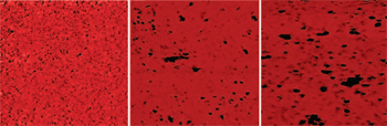 CAFM images map the conductivity of HfO2 as deposited (left) and post-anneal at 700C (middle) and 800C (right). These maps allows visualizing, and quantifying the size and distribution of weak spots in the dielectric. Darker color means higher current through the tip, indicating higher conductivity, and thus the weaker spots in the dielectric. Weak spots emerge and proliferate upon annealing, more at the higher anneal temperature.