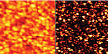 Topography (left) and tunnelling current (right) images taken on a 1.2nm thin aluminum oxide (Al2O3) film at a sample bias voltage of 0.14V. 500nm scans, 5 pA current range