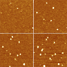 Sequence of TUNA images obtained on a SiO2 film with embedded defects. The sample bias voltage was from left to right: (top) 1V, 2V, (bottom) 3V, and 5V. 1£gm scan, 1 pA current scale