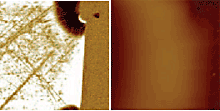 Capacitance (SCM) dC/dV phase (left) and height/topography (right) images of an ion-implanted Silicon structure consisting of an n-type implant (dark areas) into a p-type substrate. An additional (shallower) p-type implant can be observed. The structure has been cross-sectioned by standard polishing techniques.