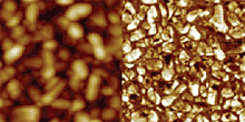 Approximately the same areas as in above images, but now with a 5V DC applied between tip and sample. The DC voltage changes the polarization such that all grains have the same polarization state.