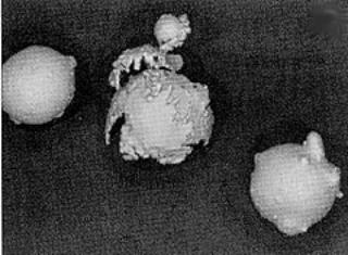 AZoM - Metals, Ceramics, Polymer and Composites : Splat capped and satellited particles