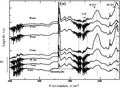 AZoJomo - The AZO Journal of Materials Online - Effect of horn immersion depth on modification of diamond powder by ultrasound. Common scale DRIFT spectra