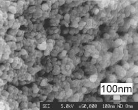 AZoJomo - The AZO Journal of Materials Online - FESEM photo of the HA coating showing consistent nanostructures inside the coating