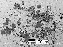 AZoJomo - The AZO Journal of Materials Online - Obvious attachment and proliferation of the osteoblast cells on the HA splats, (a) SEM picture before the incubation and (b) after the incubation.