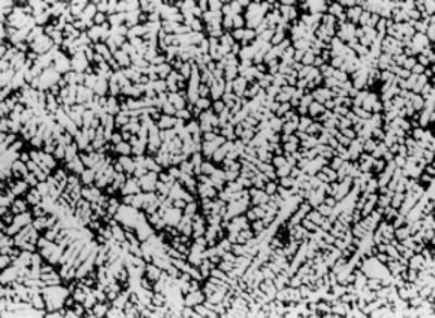 AZoJomo - AZoM Journal of Materials Online - Microstructure of raw materials AC4CH.