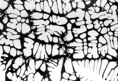 AZoJomo - AZoM Journal of Materials Online - Microstructures of AC4CH alloy specimens without rod insertion