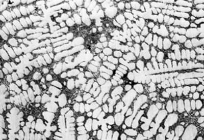 AZoJomo - AZoM Journal of Materials Online - Microstructures of AC4CH alloy specimens Ex. 1 insertion at 918K.