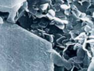 h-BN powder